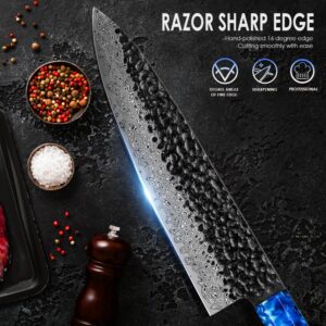 Chef Knife 8 Inch Damascus Kitchen Knife, Japanese VG10 Damascus Steel Meat Cooking Knife, Gyuto Chefs Knife G10 Ergonomic Color Wooden Handle with Luxury Gift Box