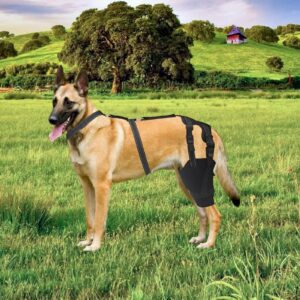 PLKO Dog Knee Brace with Side Stabilizers - Support for ACL, Knee Cap Dislocation, Arthritis - Warmth, Stability, and Pain Relief(Size: XXXL)