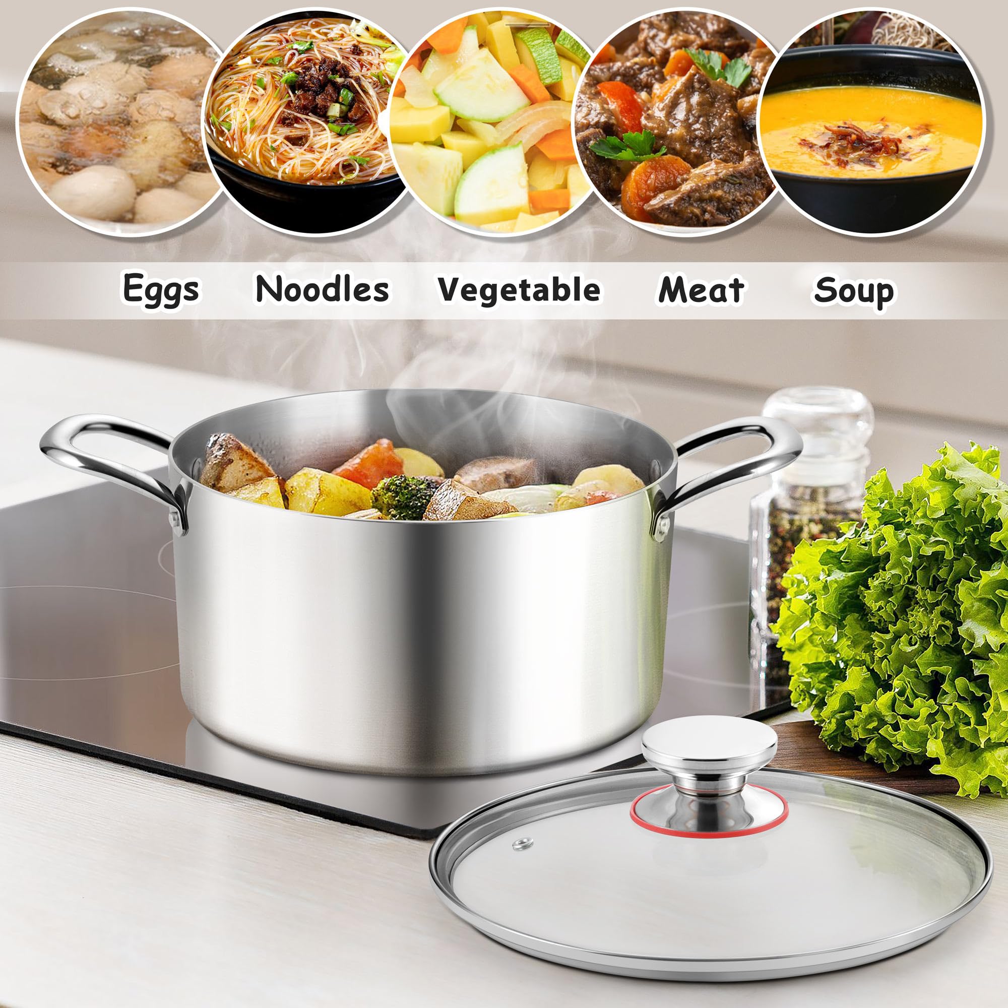 E-far 6 Quart Stock Pot, Tri-Ply Stainless Steel Cooking Pot with Glass Lid and Riveted Handles, Metal Pasta Soup Pot for Induction Ceramic Electric Gas Stoves, Heavy Duty & Dishwasher Safe