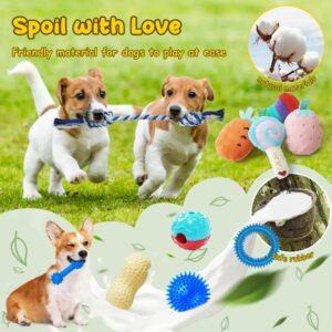 Eefitoys 22-in-1 Puppy Teething Chew Toy Set, Dog Toys with Rope, Squeaky Toys & Treat Balls for Small Dogs