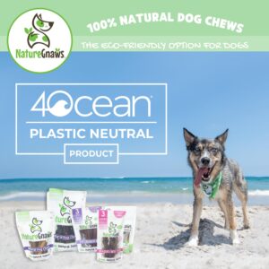 Nature Gnaws Sweet Potato Chips for Dogs - Single Ingredient Natural Dog Chew Treats - 12 oz