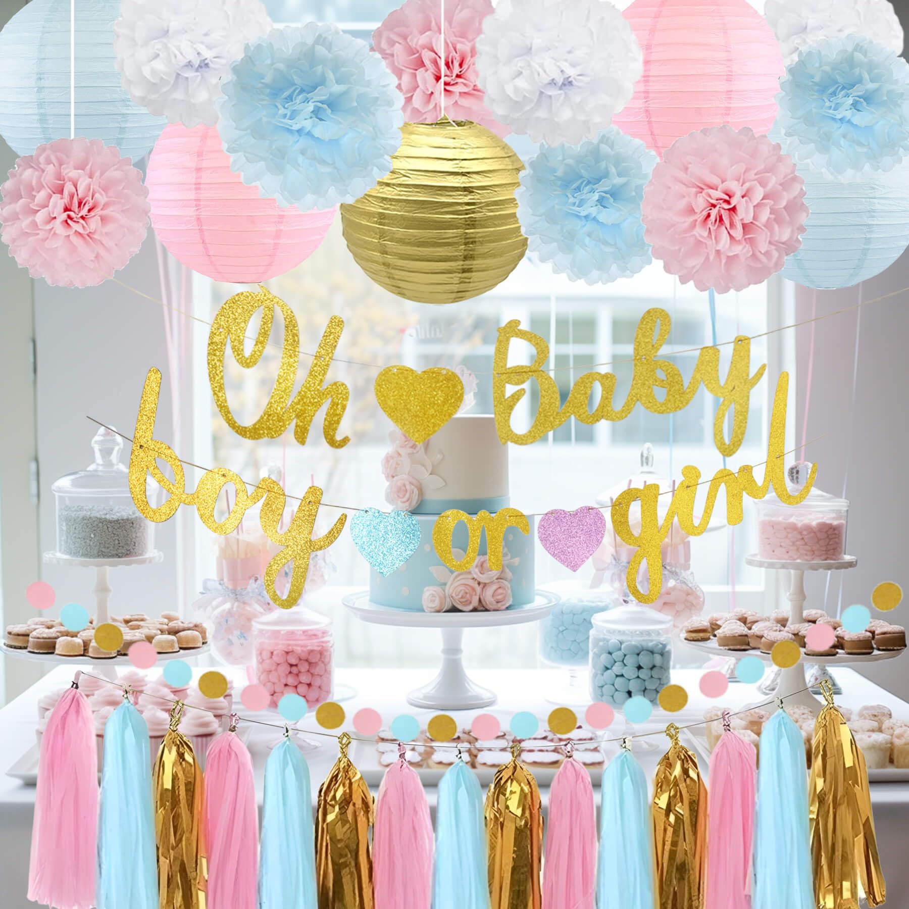 Kiwayo Baby Gender Reveal Party Decorations Supplies Kit Blue & Pink- Boy or Girl Banner, Tissue Paper Poms, Paper Lanterns, Circle Dot Garland, Tassels Garland- Gender Reveal Ideas Boy Or Girl