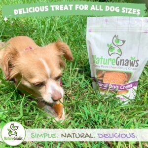 Nature Gnaws Sweet Potato Chips for Dogs - Single Ingredient Natural Dog Chew Treats - 12 oz