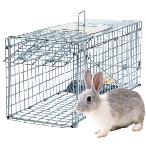 humane rat trap cage live rat traps humane cat traps catch release live animal rodent cage collapsible galvanized wire for rabbit small groundhogs squirrel mole gopher mice chipmunk-24x8x7.2in