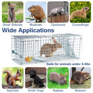 Humane Rat Trap Cage Live Rat Traps Humane Cat Traps Catch Release Live Animal Rodent Cage Collapsible Galvanized Wire for Rabbit Small Groundhogs Squirrel Mole Gopher Mice Chipmunk-24X8X7.2In