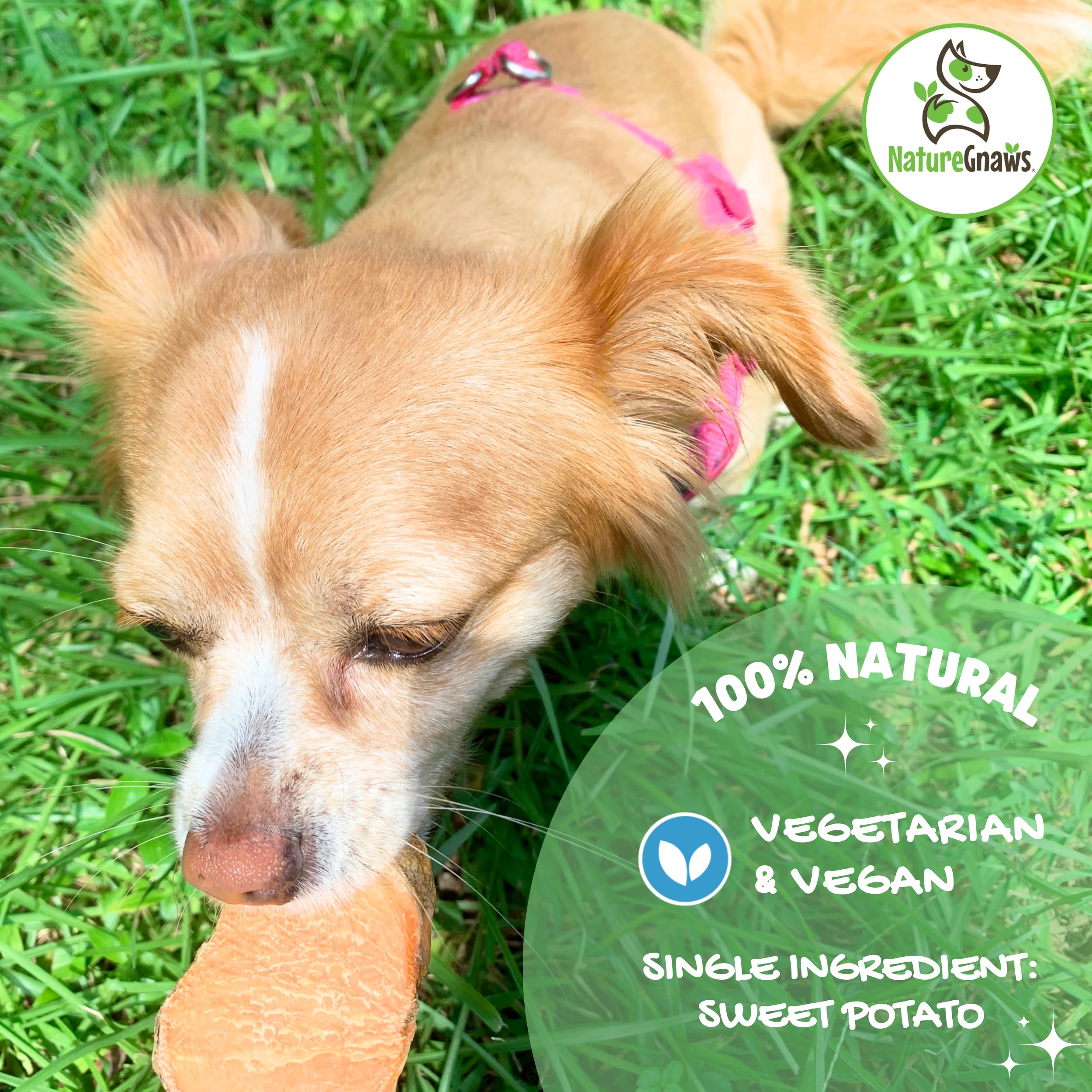 Nature Gnaws Sweet Potato Chips for Dogs - Single Ingredient Natural Dog Chew Treats - 12 oz