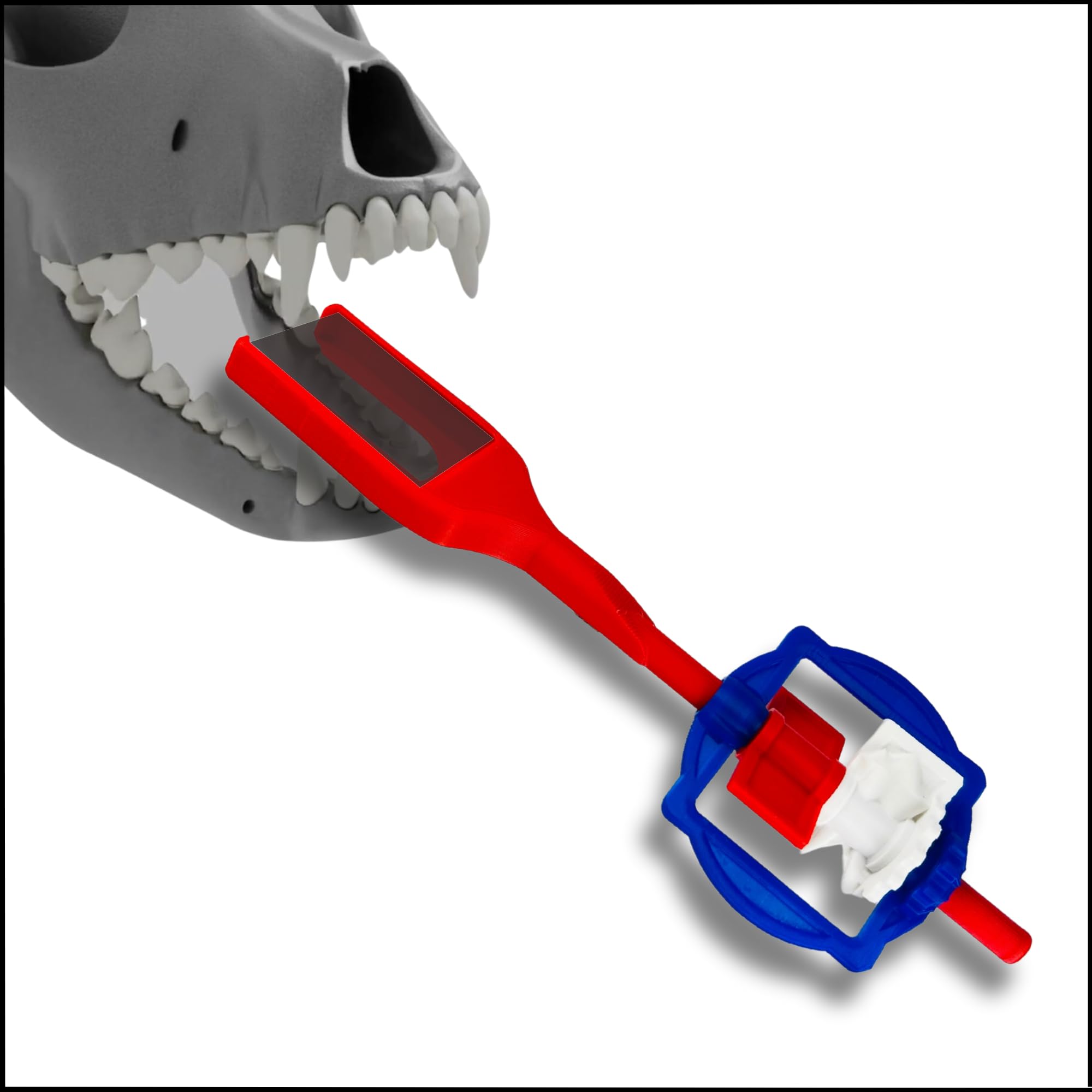 Veterinary Dental X-Ray Positioning Device for Precise Radiography – Midmark Optimax, Accurate Bisecting Angle Alignment, Professional Veterinary Dental Radiology Support, Veterinary Tool Kit