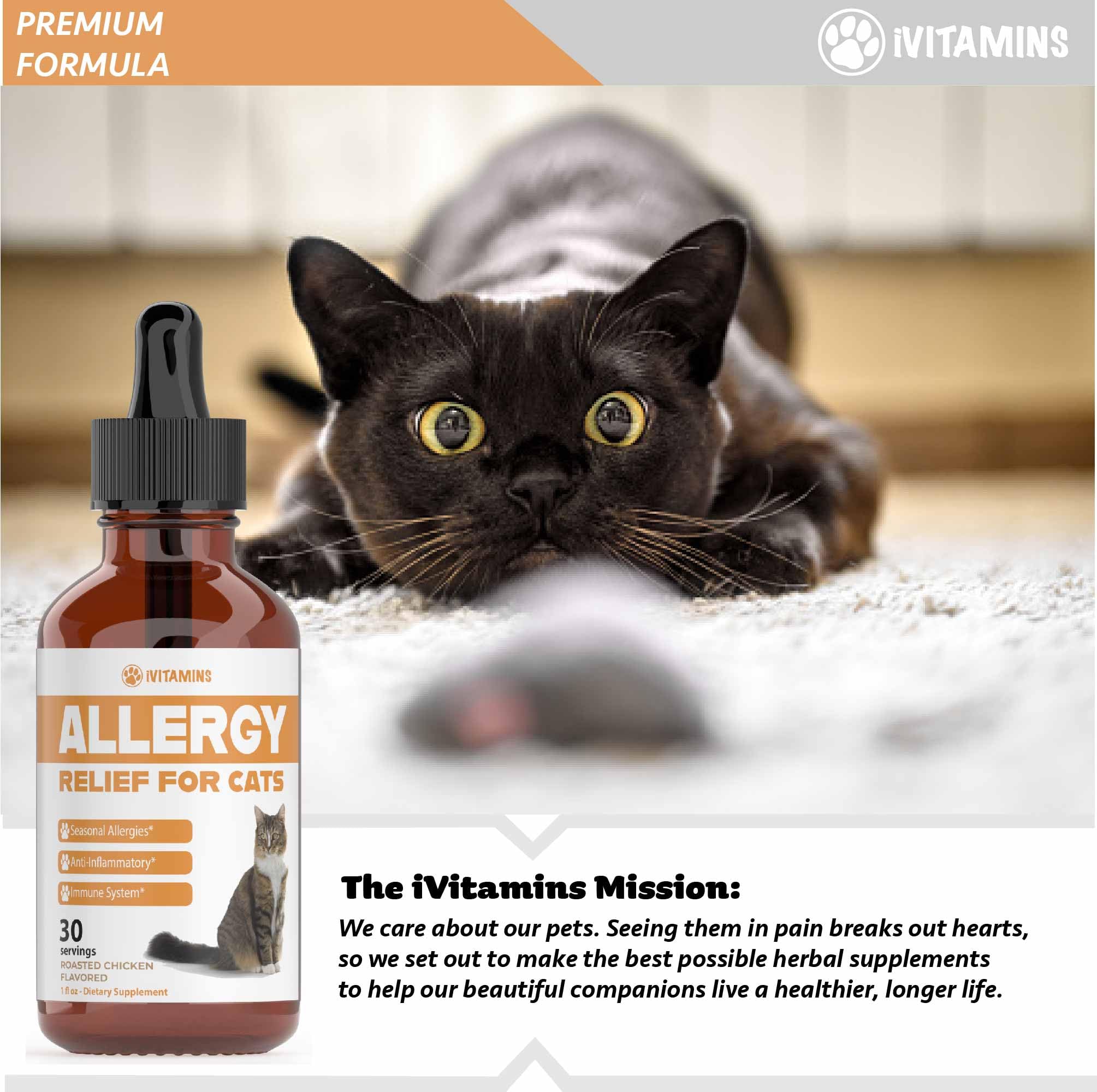 Allergy Relief for Cats | Helps to Naturally Support Allergy & Itch Relief for Cats | Cat Allergy | Cat Itch Relief | Cat Itchy Skin Relief | Cat Allergy Relief for Cats | Cat Supplements & Vitamins