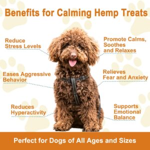 Dogs Hemp Calming Chews, Anxiety Relief Calming Treats 100% Natural Ingredients Calming Treats for Dog, Aid with Barking, Thunderstorms, Separation Beef Flavor