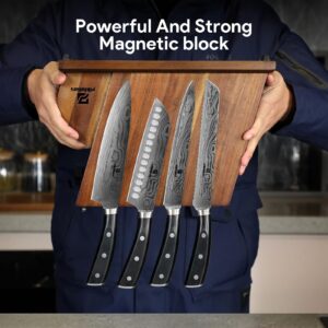 Piklohas Kitchen Knife Sets for Kitchen with Block, 17 Pieces with Magnetic Knife Holder, German High Carbon Stainless Steel Damascus Pattern Chef Knives Set with Sharpener, Steak Knives