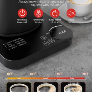 Temperature Electric Kettle, Airyoyo Gooseneck Electric Kettle with 4 Variable Presets, ±1℉ Temperature Control & LED Real-time Temperature Display, Stainless Steel Inner, 24H Keep Warm