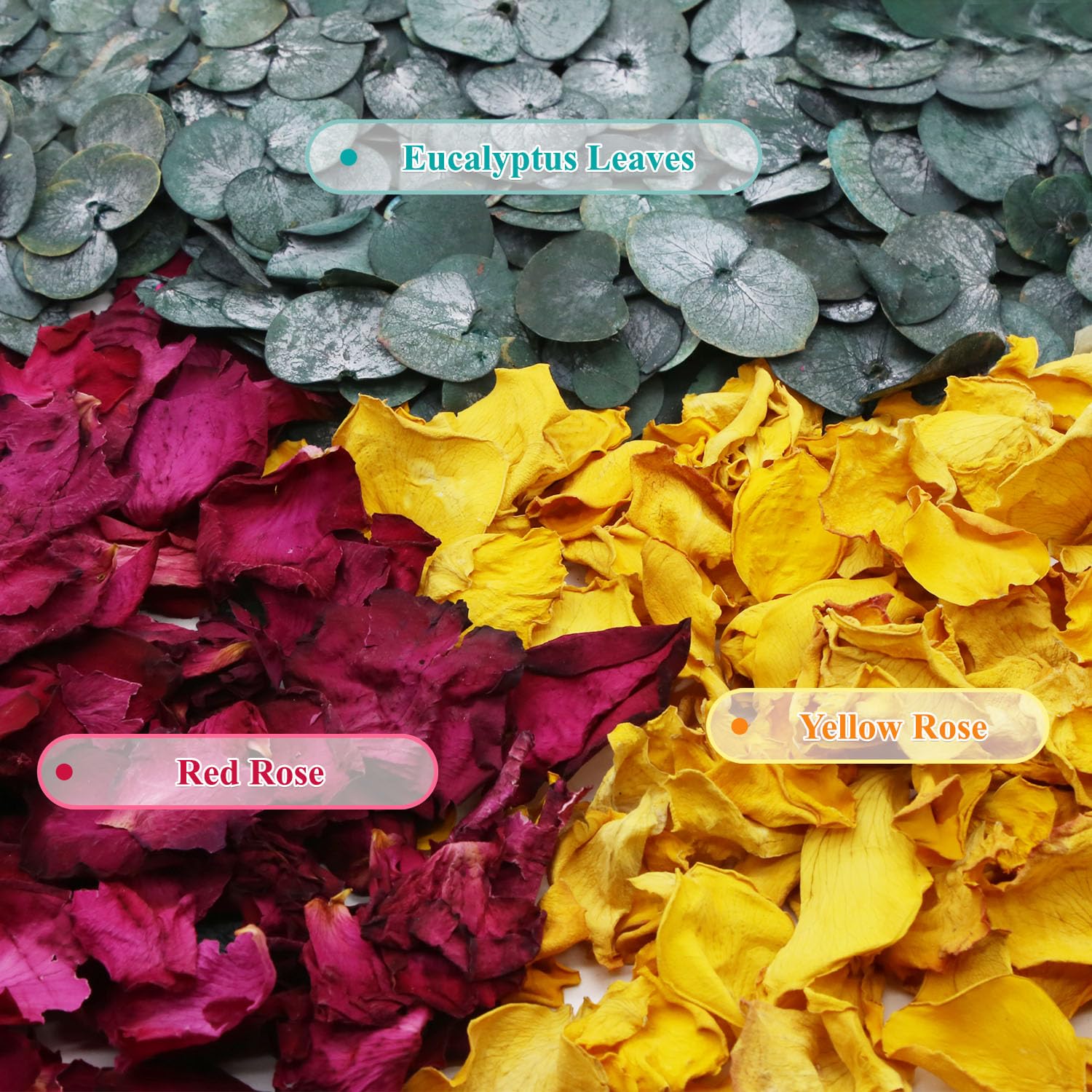 2 QT Mix Biodegradable Flower Petals Confetti, 20+ Cups of Dried Roses & Eucalyptus Leaves, Real Petals for Wedding Parties Romantic Gifts, Flower Girl Bridal