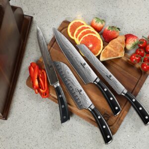 Piklohas Kitchen Knife Sets for Kitchen with Block, 17 Pieces with Magnetic Knife Holder, German High Carbon Stainless Steel Damascus Pattern Chef Knives Set with Sharpener, Steak Knives