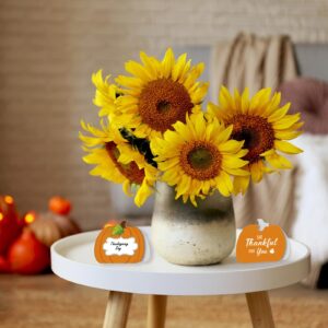 40 Thanksgiving Table Place Cards - Folding Pumpkin Thanksgiving Table Cards Table Setting Name Cards Fall Pumpkin Buffet Cards are perfect for family dinners Halloween, and fall events.