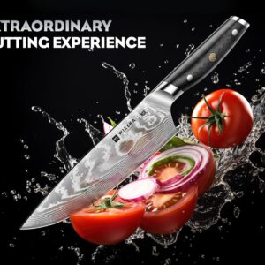 WIZEKA Damascus Knife Set 3 PCS,Super Sharp Kitchen Knife Set Made of Japanese Steel VG10,Full Tang Professional Chef Knife Set With G10 Ergonomic Handle