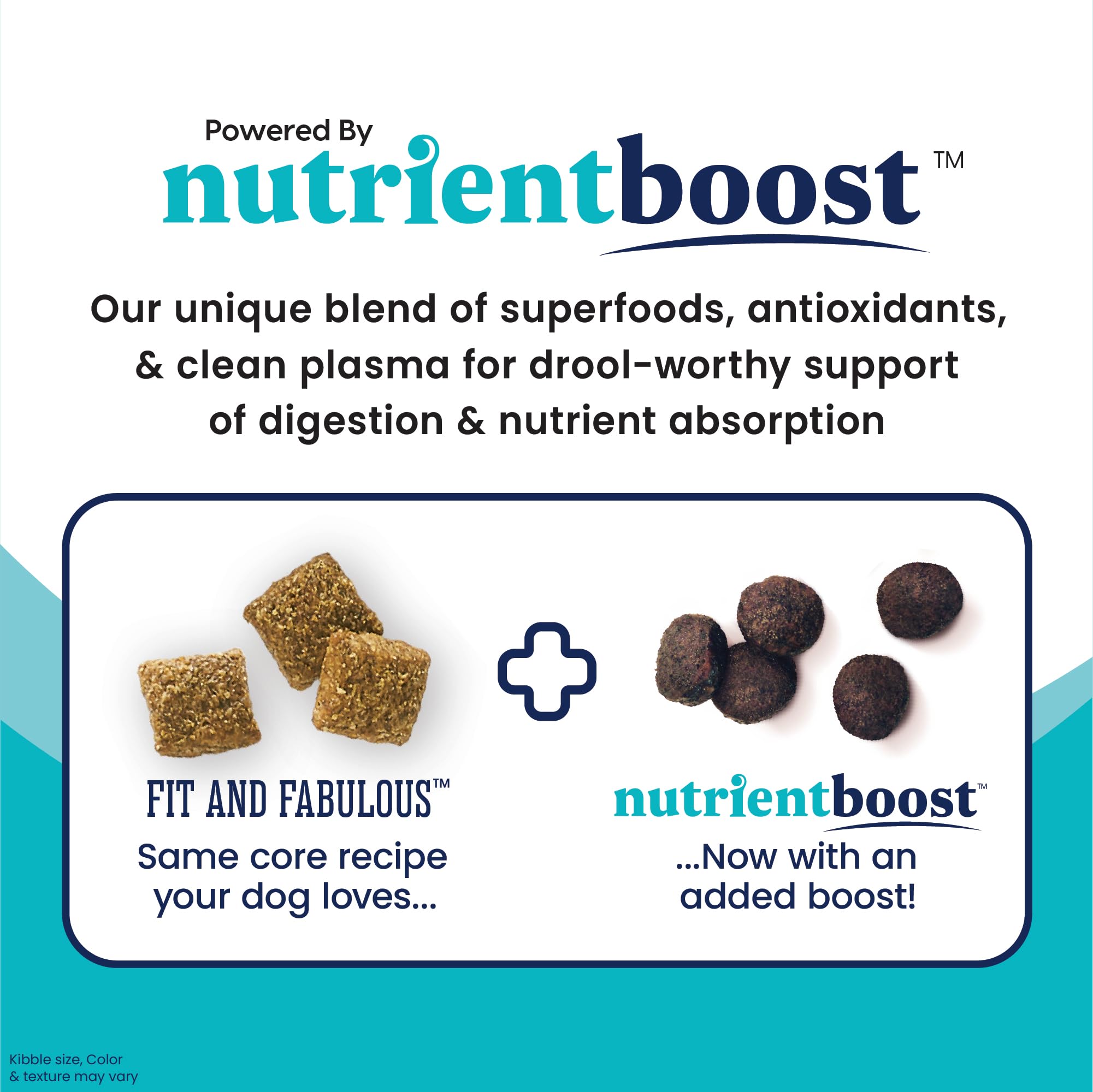 Solid Gold Fit and Fabulous Chicken - Nutrientboost Dry Dog Food for Weight Control - Digestive Probiotics for Dogs Grain & Gluten Free High Fiber & Low Fat - Omega, Superfoods & Antioxidants - 22 LB