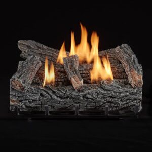 duluth forge 22" ventless dual fuel gas log set - 32,000 btu, thermostat control, natural gas/propane, hand-painted winter oak, realistic ceramic logs, oxygen depletion sensor, 99.9% efficient