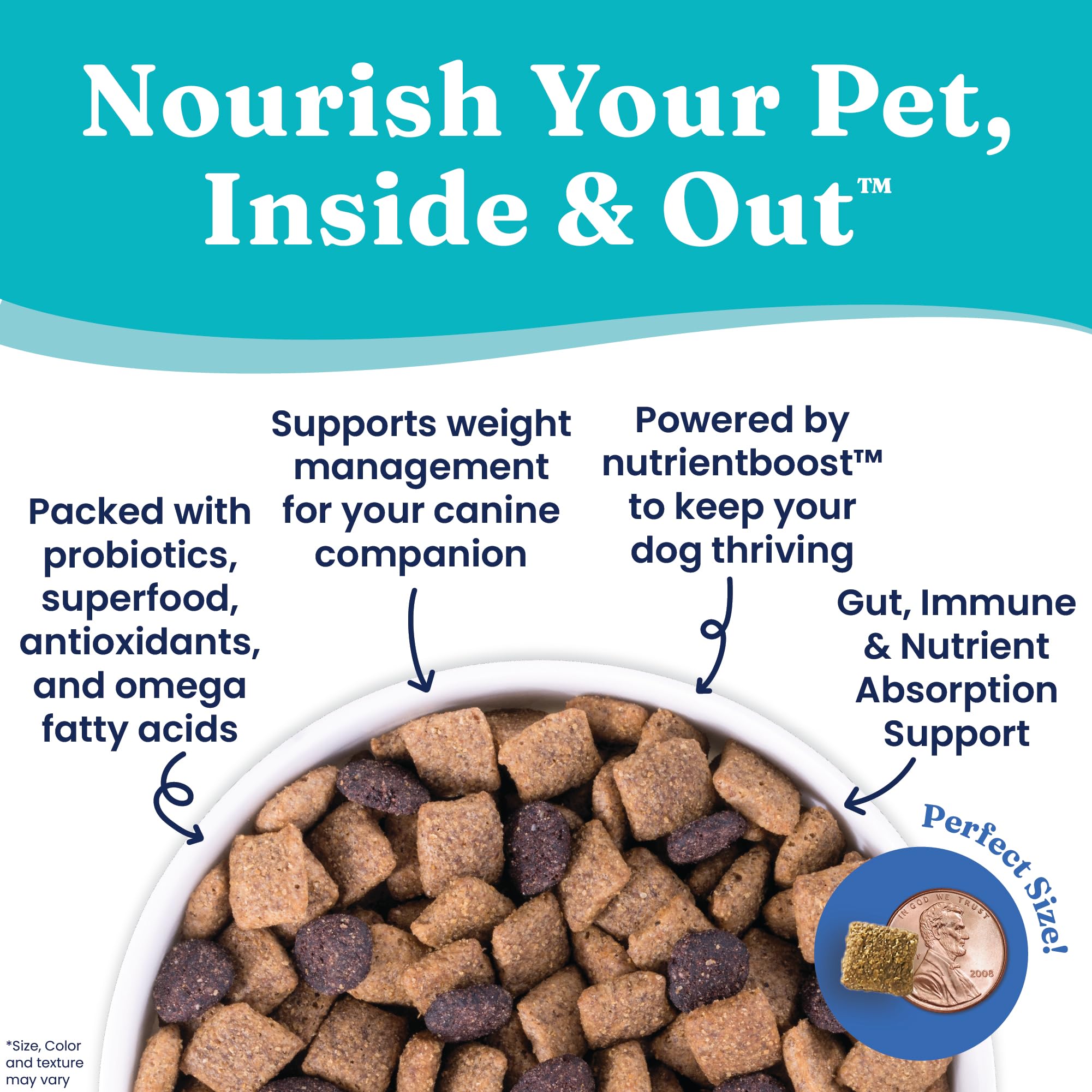 Solid Gold Fit and Fabulous Chicken - Nutrientboost Dry Dog Food for Weight Control - Digestive Probiotics for Dogs Grain & Gluten Free High Fiber & Low Fat - Omega, Superfoods & Antioxidants - 22 LB