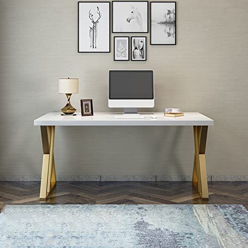 LIMKOO Computer Desk Home Office Desk Paint Panel Rugged Study Room Workstation is 39 to 62 Inches Long Writing Study Desk Desktop PC Desk with Drawer Desk for Bedroom (Size : 1.6 Meters)