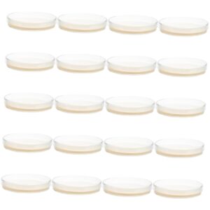 feltechelectr 20 pcs petri dish agar prepoured nutrient plates for science lab experiment accessories