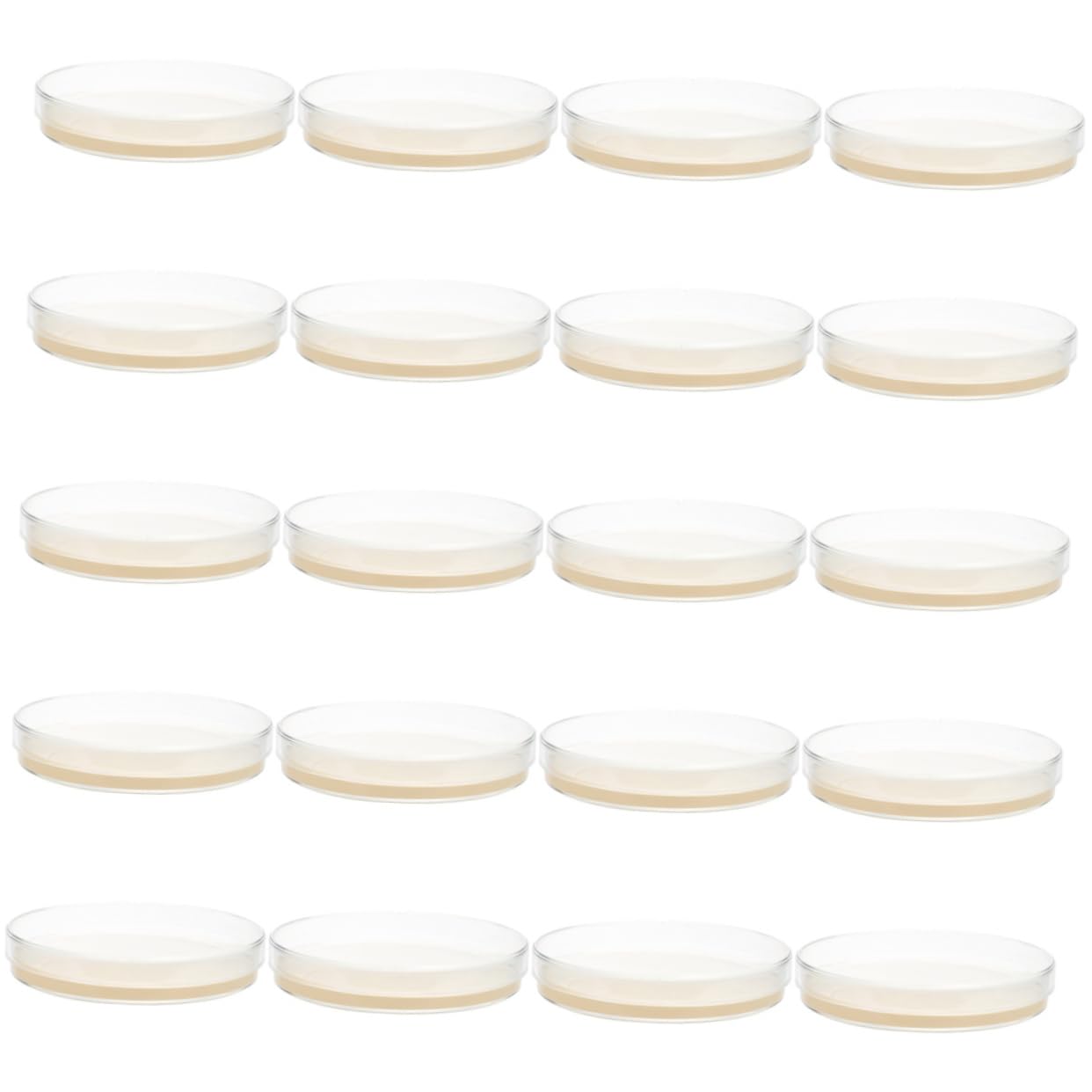 FELTECHELECTR 20 Pcs Petri Dish Agar Prepoured Nutrient Plates for Science Lab Experiment Accessories