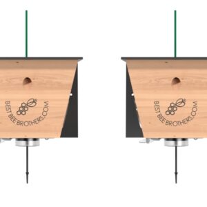 Carpenter Bee Traps for Outside - Carpenter Bee Trap, Turbo Trap 2.0 W/Bee Vault Wood Bee Traps - Carpenter Bee Traps for Outdoors Hanging - Bee Catchers for Outside (Black, 2 Pack)