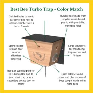 Carpenter Bee Traps for Outside - Carpenter Bee Trap, Turbo Trap 2.0 W/Bee Vault Wood Bee Traps - Carpenter Bee Traps for Outdoors Hanging - Bee Catchers for Outside (Black, 2 Pack)