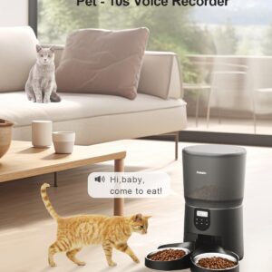 Automatic Cat Feeders for Two Cats, Katalic 6L/25.4cup Double Automatic Cat Food Dispenser with 2 Stainless Bowls,10s Meal Call and Timer Setting 20 Portions 4 Meals Per Day,Pet Feeder for Cat and Dog