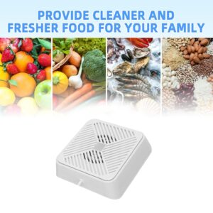 Fruit Vegetable Washing Machine,USB Portable Ultrasonic Electrolysis Fruit Purifier Fruit Cleaner Device Mini Dishwasher for Cleaning Fruit Vegetables Meat(White)