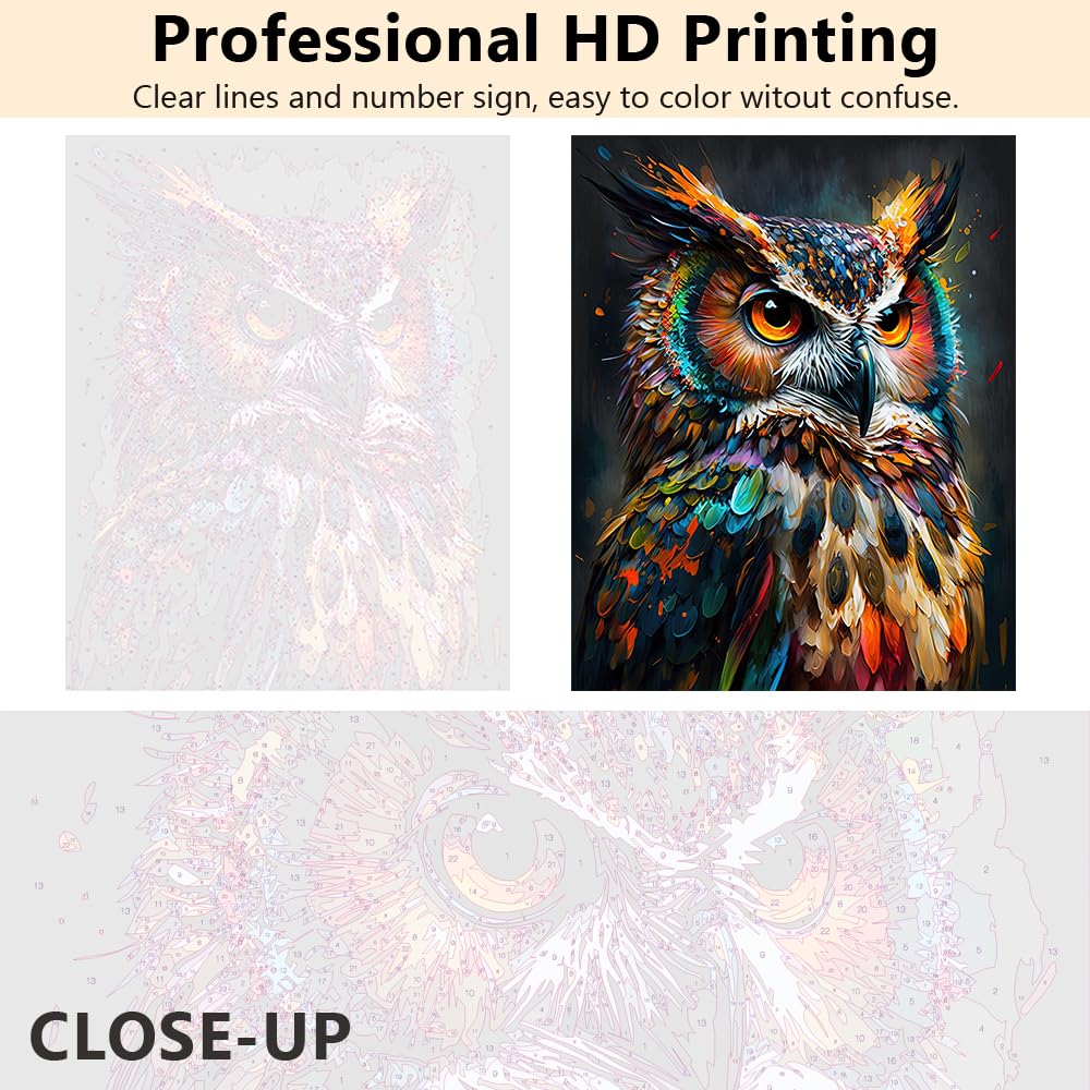 TUMOVO Animal Paint by Numbers, Abstract Owl Paint by Number for Adults, Delicate Animal Painting by Numbers for Home Wall Decor, Oil Painting with Brushes and Pigment, Frameless, 16x20 Inch