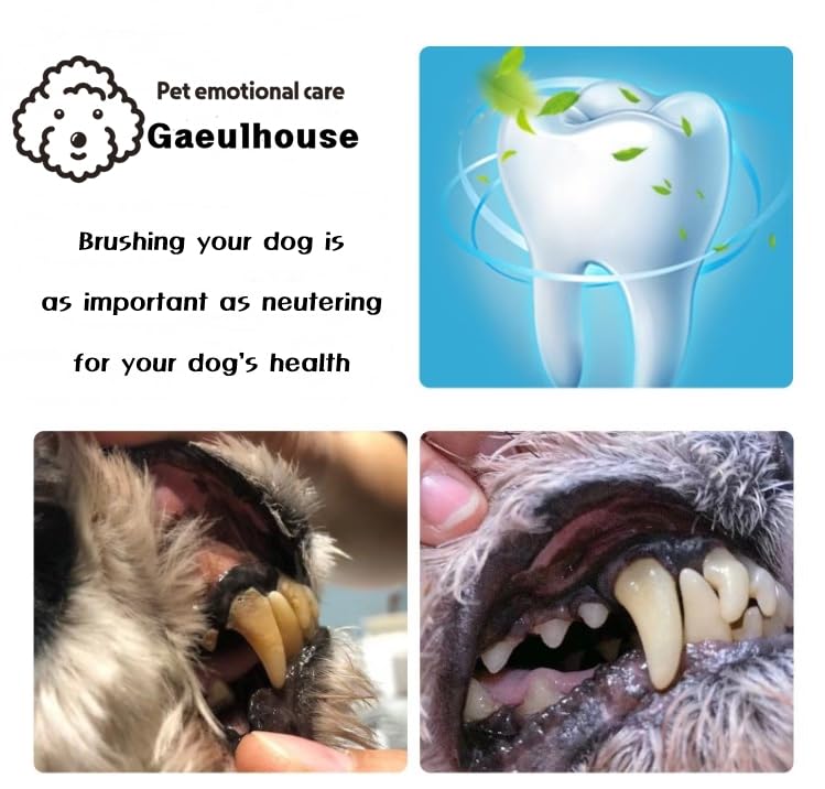 Gaeulhouse Tiny Small and Medium Dog Toothbrush Made in Korea Toothbrush Bristles That are Soft and Do Not Irritate Your Dog’s Gums Small Toothbrush Grip and Excellent Tartar Removal (4pcs)