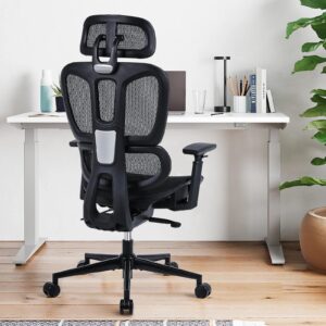 Youhauchair Ergonomic Office Chair with Lumbar Support, High Back Home Office Chairs with Adjustable Seat Depth, 3D Armrests & Headrest, Rolling Desk Chair, Mesh Computer Chair, Black