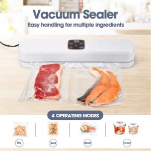 Metronic Vacuum Sealer Machine, Powerful 4-in-1 Food Vaccum Sealer Machine Set, Dry & Moist Food Preservation Modes with 10 Bags, Air Suction Hose, LED Indicator Lights, Compact Bag Sealer White