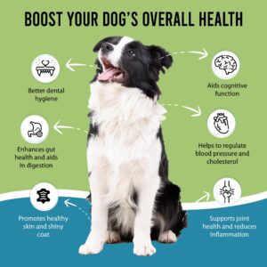 Caniclean Seaweed for Dogs Teeth - Dog Tartar Removal Tool, Plaque Remover, and Breath Freshener - Get Plaque Off Dogs Teeth Naturally. 14oz/396g.