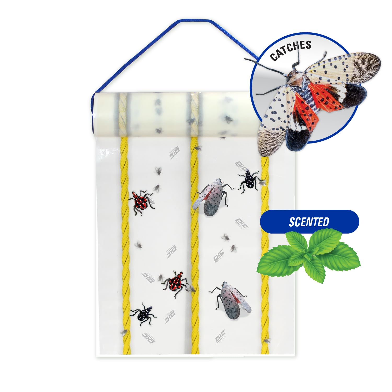 PIC Spotted Lantern Fly Trap, 2 Rolls 20ft Each, Outdoor Adhesive Crawling and Flying Insect Trap, Protect Trees, Pest Control, 2 Pack