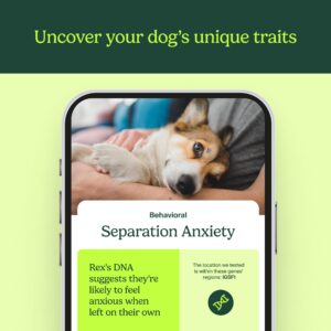 AncestryDNA Know Your Pet DNA: Dog DNA Breed Identification Test, Genetic Traits, DNA Matches, Dog DNA Test, Dog Breed DNA kit, Easy-to-Use Pet DNA Test