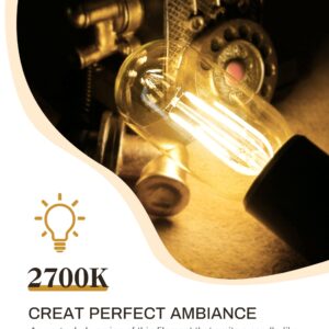 4 Pack LED Edison Bulbs, 4W Edison Light Bulbs, Antique LED Filament Bulbs 40W Equivalent, E26 Base, T45 LED Bulb with Clear Glass, Warm White 2700K, Non Dimmable, Great for Home, Bedroom, Office