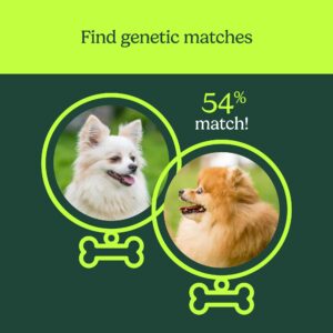 AncestryDNA Know Your Pet DNA: Dog DNA Breed Identification Test, Genetic Traits, DNA Matches, Dog DNA Test, Dog Breed DNA kit, Easy-to-Use Pet DNA Test