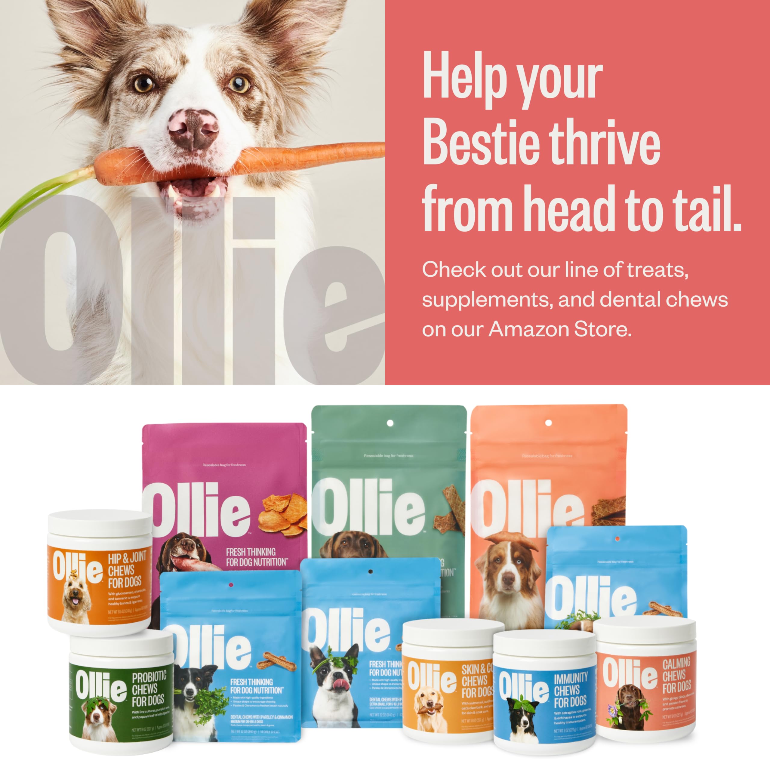 Ollie Chill Pills Calming Supplements for Dogs - Anxiety Relief for Dogs - Calming Bites for Dogs - Dog Melatonin - Dog Stress and Anxiety Relief - Calming Chews for Dogs - 60 Count Appx.