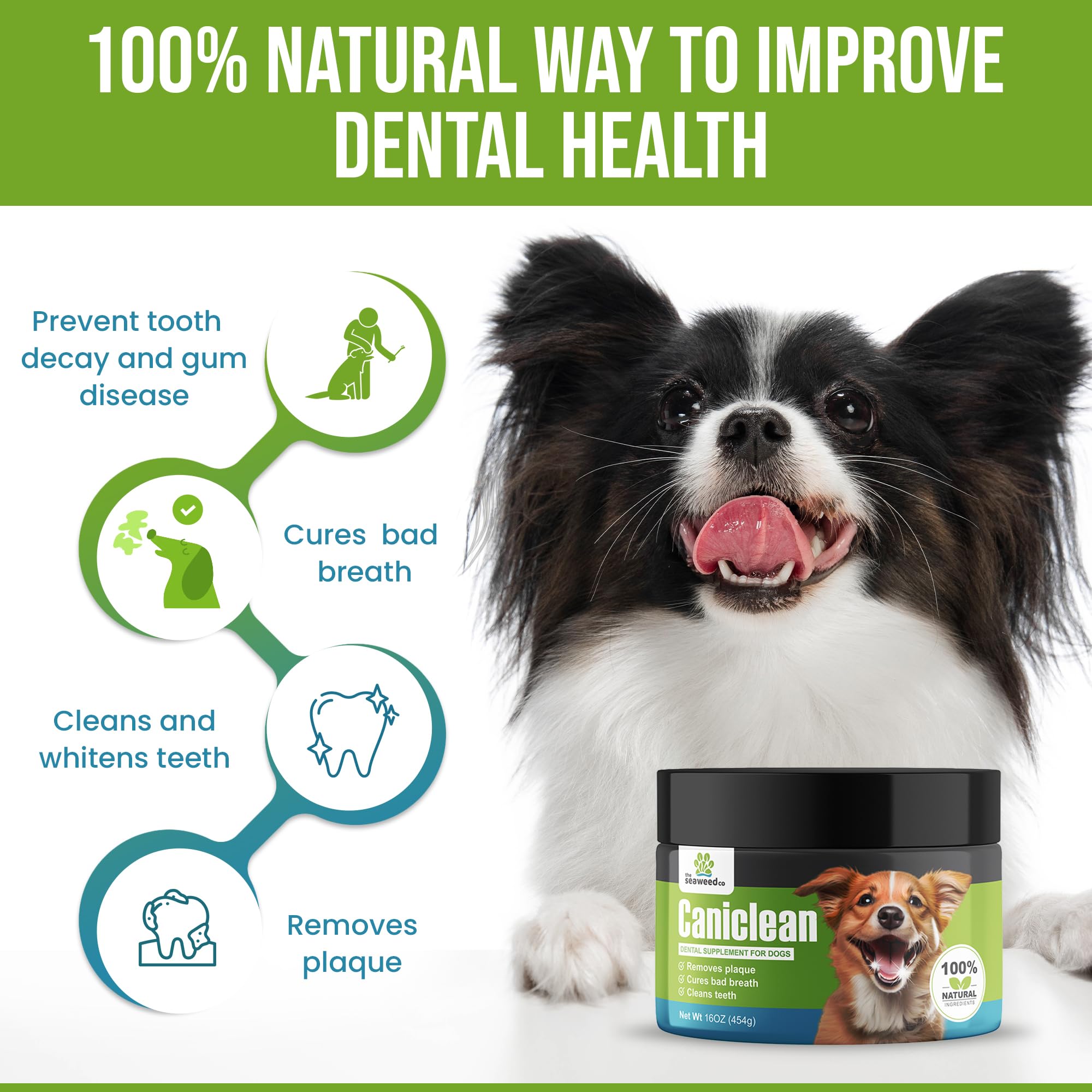 Caniclean Seaweed for Dogs Teeth - Dog Tartar Removal Tool, Plaque Remover, and Breath Freshener - Get Plaque Off Dogs Teeth Naturally. 14oz/396g.