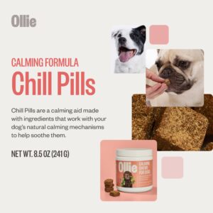 Ollie Chill Pills Calming Supplements for Dogs - Anxiety Relief for Dogs - Calming Bites for Dogs - Dog Melatonin - Dog Stress and Anxiety Relief - Calming Chews for Dogs - 60 Count Appx.