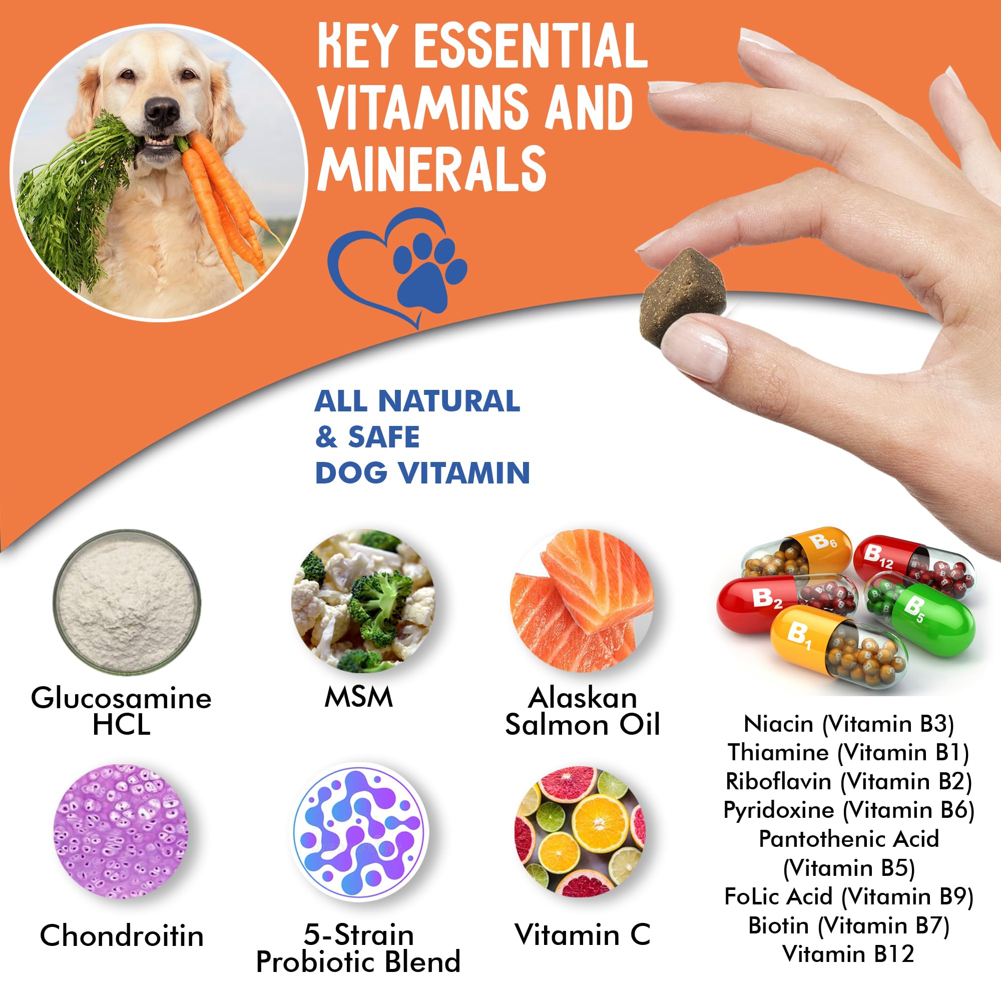 ZenBites 12-in-1 Dog Vitamins & Probiotics 120 Soft Chews - Organic Multivitamin with Glucosamine for Dogs - Joint Support Supplement for Dogs of All Ages,Sizes, & Breeds,Supports Skin,Heart,Immunity