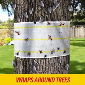 PIC Spotted Lantern Fly Trap, 2 Rolls 20ft Each, Outdoor Adhesive Crawling and Flying Insect Trap, Protect Trees, Pest Control, 2 Pack