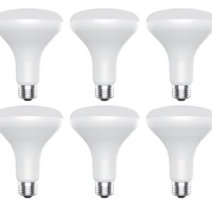 GE Classic 65 W Equivalent Dimmable Bright White Br30 LED Light Bulbs, 6 Pack