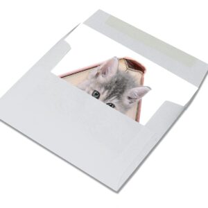 Small World Greetings Playful Kitten Cards 12 Count - Blank Inside with Envelopes - A2 Size (5.5”x4.25”) - Cat Stationery - All Occasion, Thank You, Birthday, and More