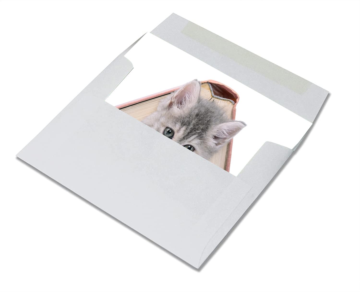 Small World Greetings Playful Kitten Cards 12 Count - Blank Inside with Envelopes - A2 Size (5.5”x4.25”) - Cat Stationery - All Occasion, Thank You, Birthday, and More