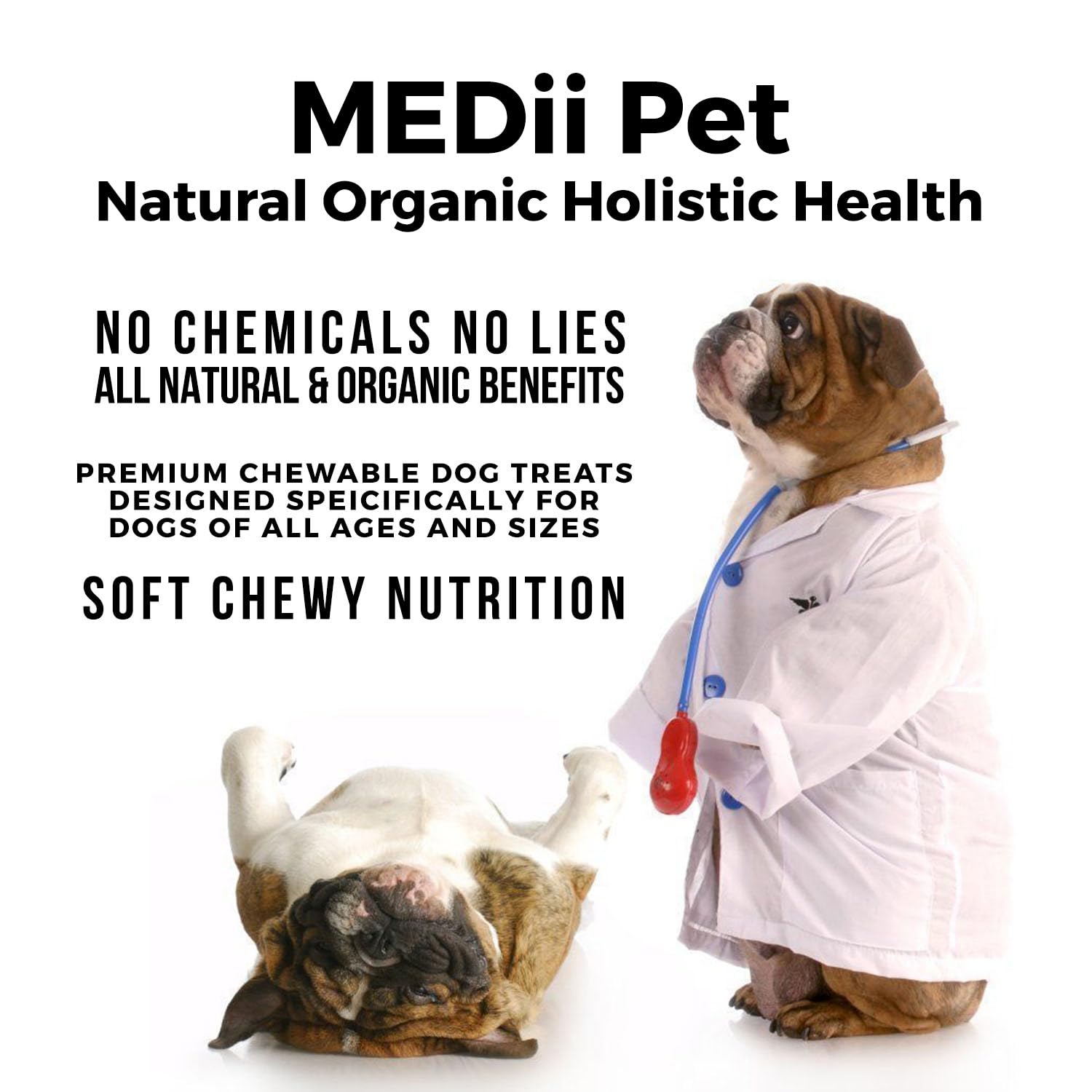 MEDii Pet Dog Vitamin Supplements & Health Booster: Metabolism, Cardiac, Eyes, & Helps Prevent Dog Dementia– Includes Spirulina, Vitamin B1, B3, & B12, Non-GMO, 125 ct/10 oz. Best Value