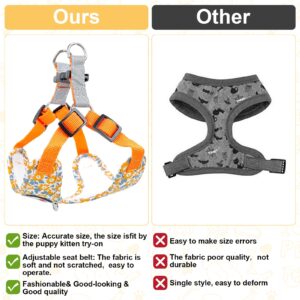 HOWWFALY Soft Mesh Dog Harness and Leash Set,Reflective Breathable Lightweight Easy Walk Escape Proof Vest Harnesses with Safety Buckle for Small Medium Dogs Cats (Orange, M)