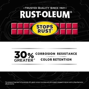 Rust-Oleum 376855 Stops Rust Custom Spray 5-in-1 Spray Paint, 12 oz, Flat Black