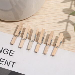 200pcs Natural Wood Mini Clothes Pins with 66ft Jute Twine for Photos, 1 Inch Small Clothes Pins for Photos, Crafts, Artwork, Cocktails, Weddings